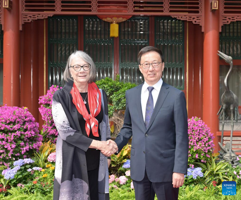 Vice-presidente chinês reúne-se com presidente da Federação Internacional das Sociedades da Cruz Vermelha e do Crescente Vermelho