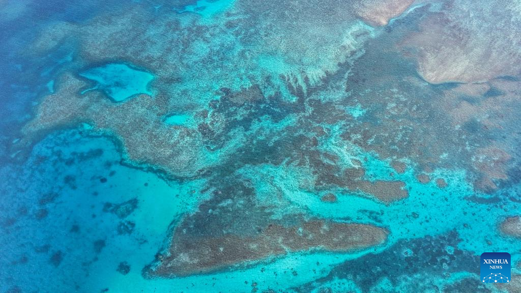 Xinhua/Lang Bingbing