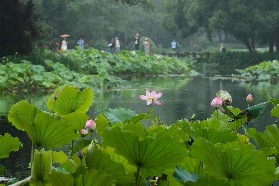 (Multimídia) Hangzhou sediará o 5º Congresso Mundial de Reservas de Biosfera este mês
