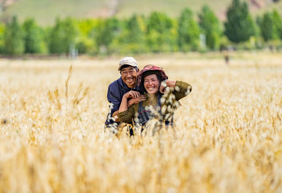 (Multimídia) Modernização chinesa é exemplo vivo de colocar povo em primeiro lugar, diz relatório