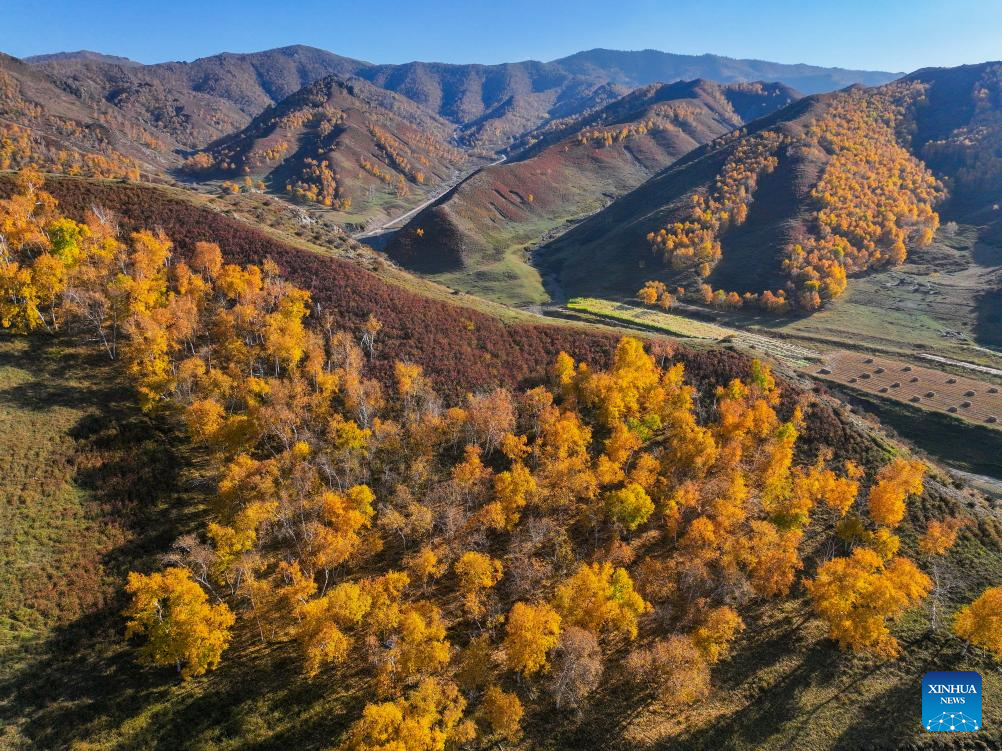 Outono enfeita paisagens na Reserva Natural Nacional de Daqingshan, na Mongólia Interior