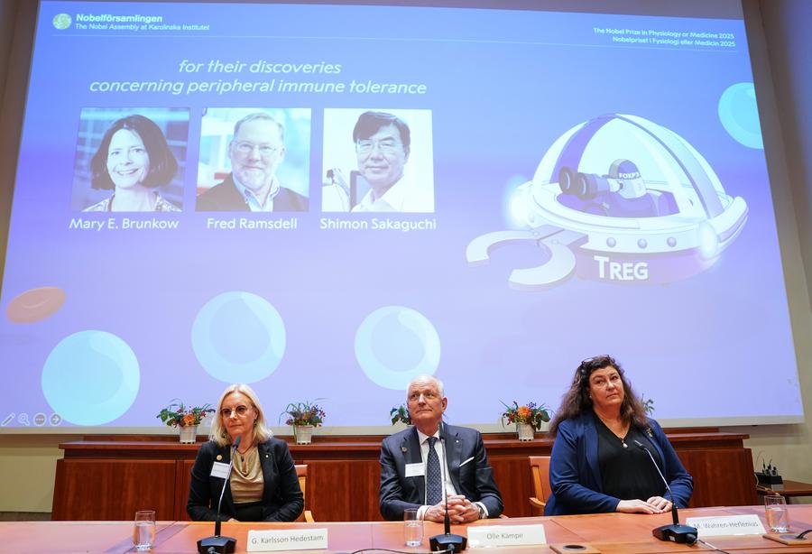 Por que o Nobel de Medicina 2025 premia os "seguranças" do sistema imunológico