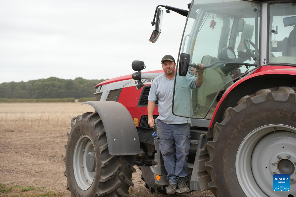 Destaque: Como agricultores ingleses cultivam esperanças em meio às incertezas