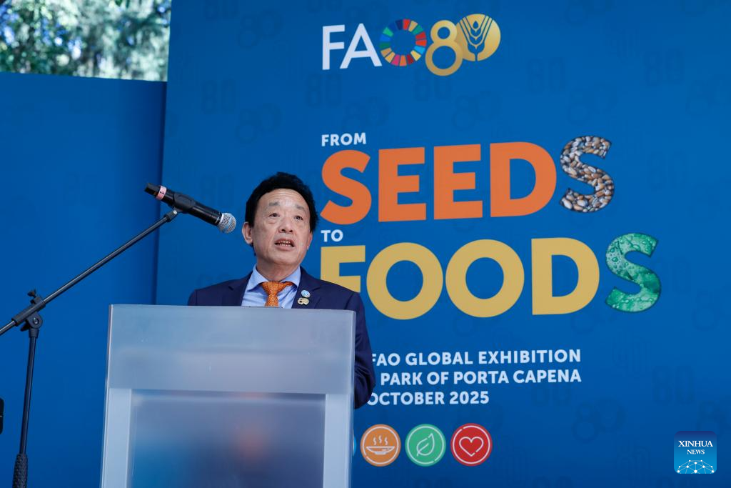Das sementes aos alimentos: FAO comemora 80 anos de combate à fome