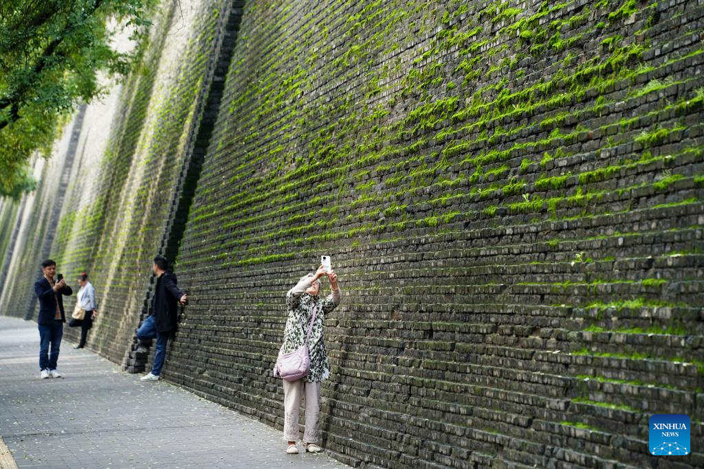 Muralha coberta por musgo verde atrai visitantes em Xi'an, no noroeste da China