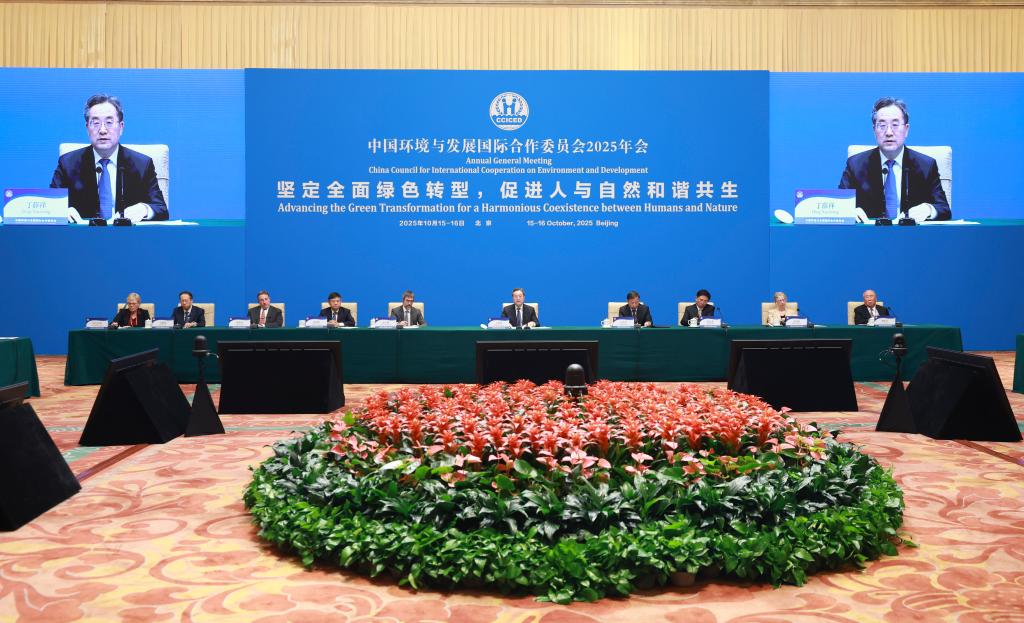 Vice-premiê chinês pede esforços conjuntos para promover transição verde global