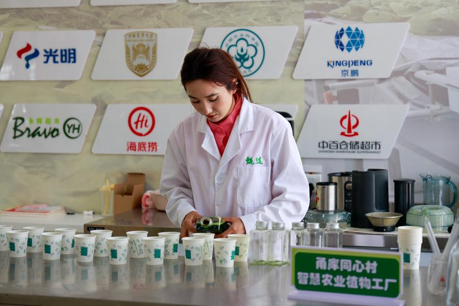 (Multimídia) Xinjiang atrai investimentos crescentes nos primeiros três trimestres