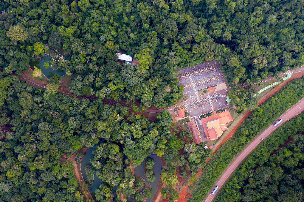 (Multimídia) Mineradora brasileira levará produtos minerais e experiência imersiva da Amazônia à 8ª CIIE