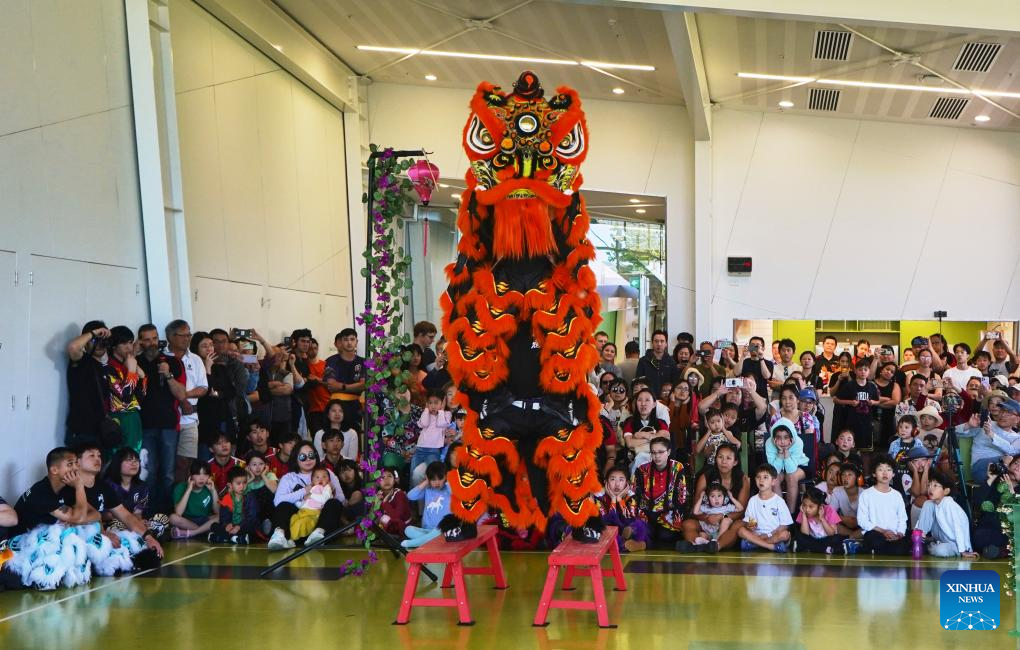 Destaque: Leões ganham vida na primeira competição de dança do leão da Nova Zelândia