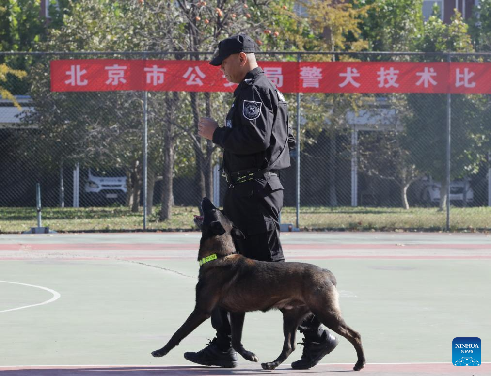 Cães policiais mostram habilidades em competição em Beijing
