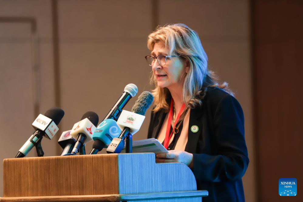 Especialistas chineses e africanos unem forças para impulsionar colaboração em segurança alimentar e modernização agrícola