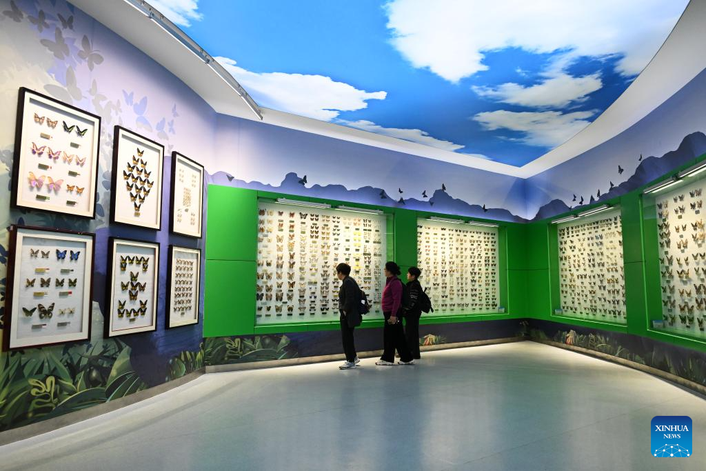 Museu de Insetos se consolida como referência em turismo educativo em Yangling, na Província de Shaanxi