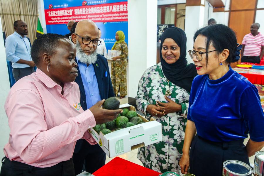 Tanzânia envia delegação comercial à China para a próxima CIIE