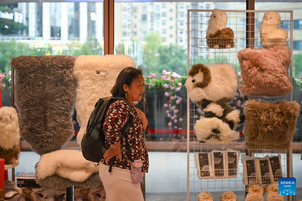 Clientes selecionam produtos na Arena da Cidade do Bazar da CIIE em Shangai