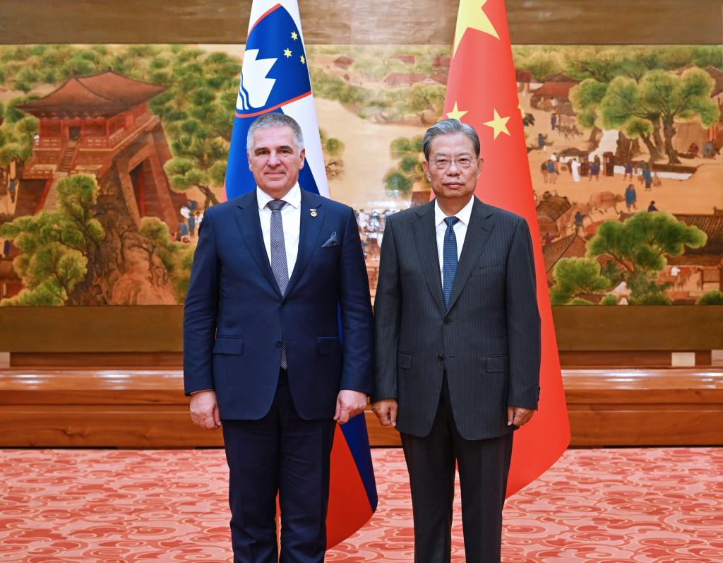 Principal legislador e principal conselheiro político da China se reúnem separadamente com presidente do Conselho Nacional da Eslovênia