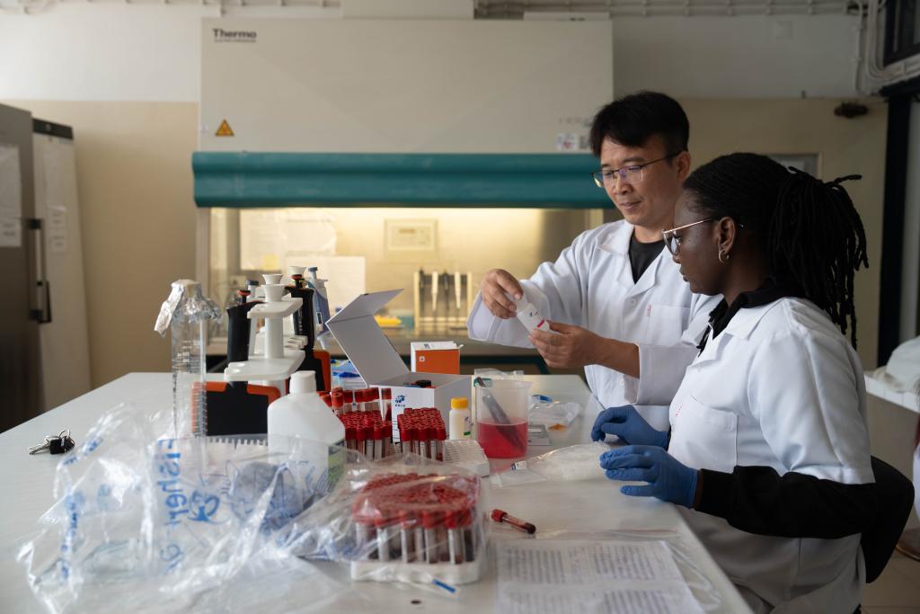 (Multimídia) Apoio técnico da China fortalece prevenção de doenças na pecuária moçambicana