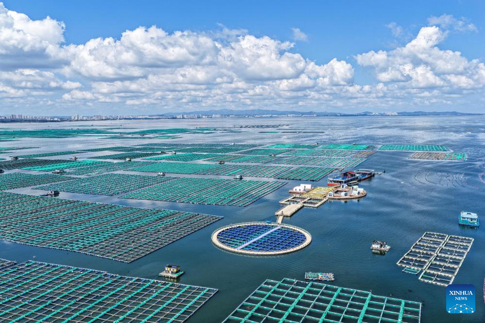 Economia da pesca marítima cresce em Shandong, no leste da China