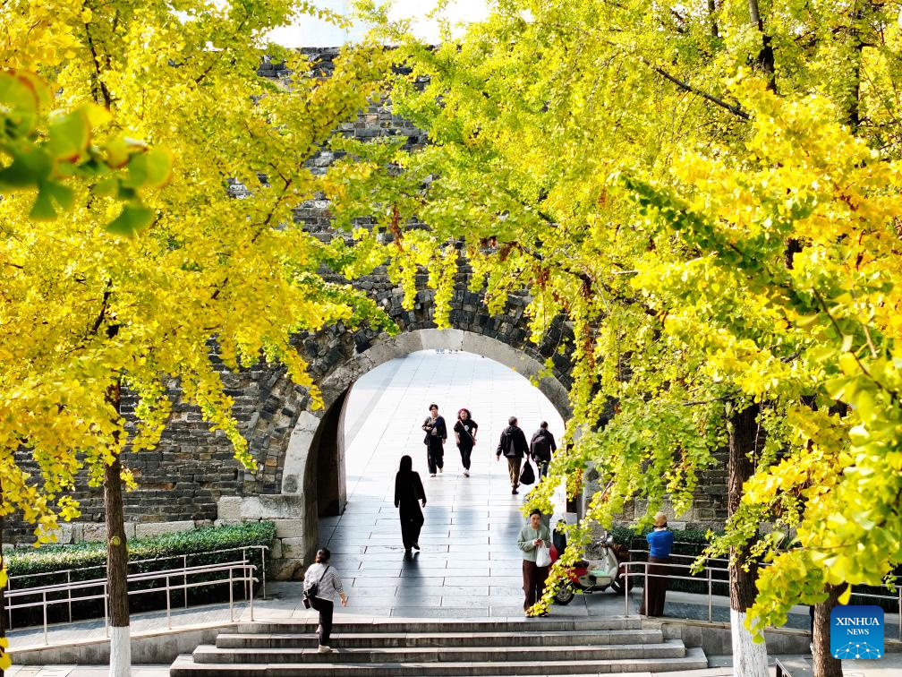 Inverno começa a modificar paisagens na China