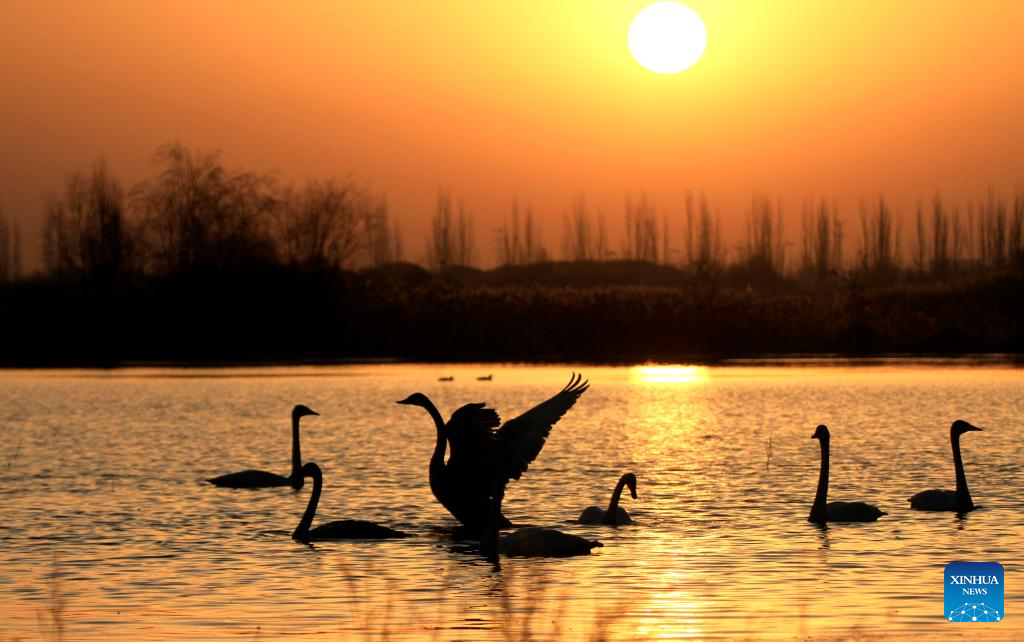 Frente fria avança e muda paisagens pela China
