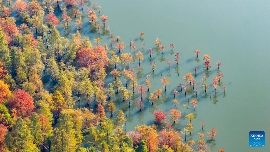 Chegada do inverno começa a mudar paisagens na China