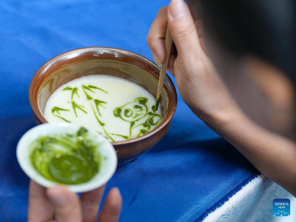 Conferência Global de Parceiros de Panda 2025 é inaugurada em Chengdu, no sudoeste da China