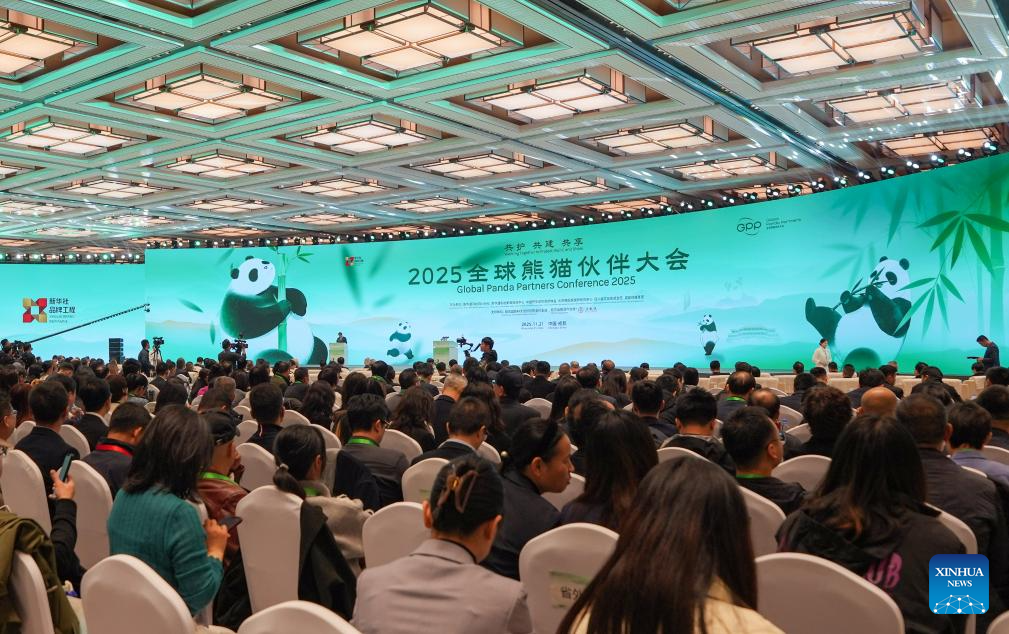 Enfoque: Conferência temática de panda promove diálogo global sobre proteção ecológica e desenvolvimento verde