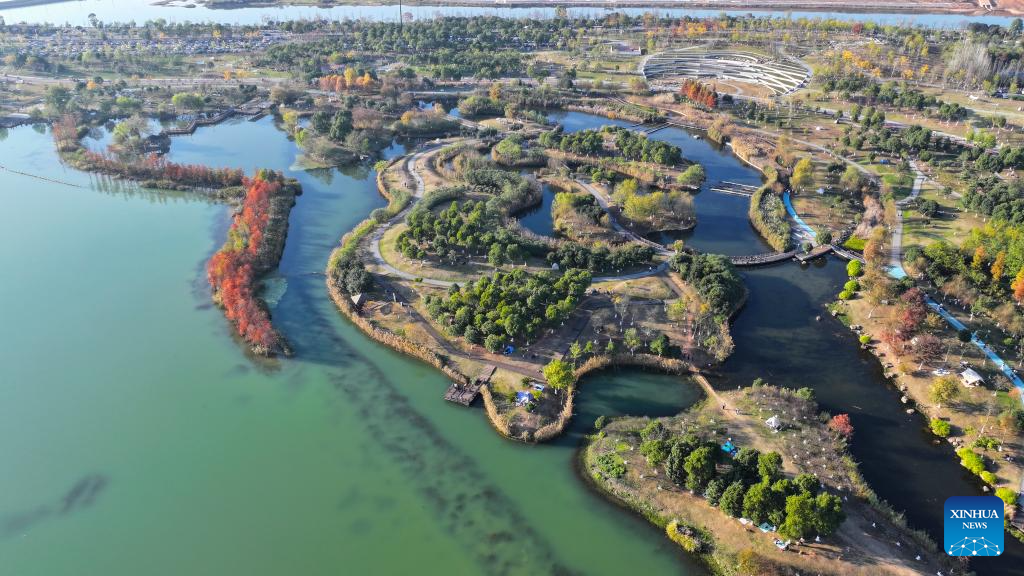 Paisagem do Parque Nacional do Pântano do Lago Songya em Changsha, na Província de Hunan