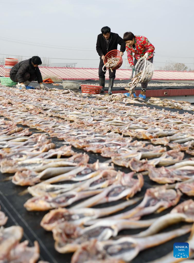 Pescadores secam frutos do mar para abastecer mercado na Cidade de Tangshan, norte da China