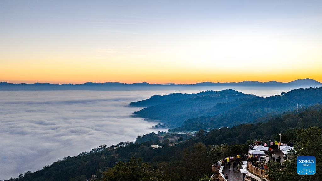 Veja fotos da Montanha Jingmai na Cidade de Pu'er, na Província de Yunnan