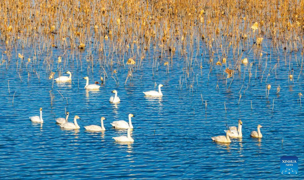 Foto por Zhou Shegen/Xinhua