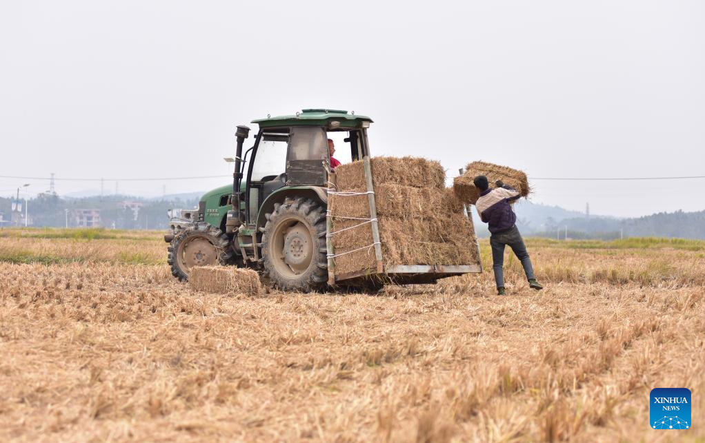 Foto por Liao Zuping/Xinhua
