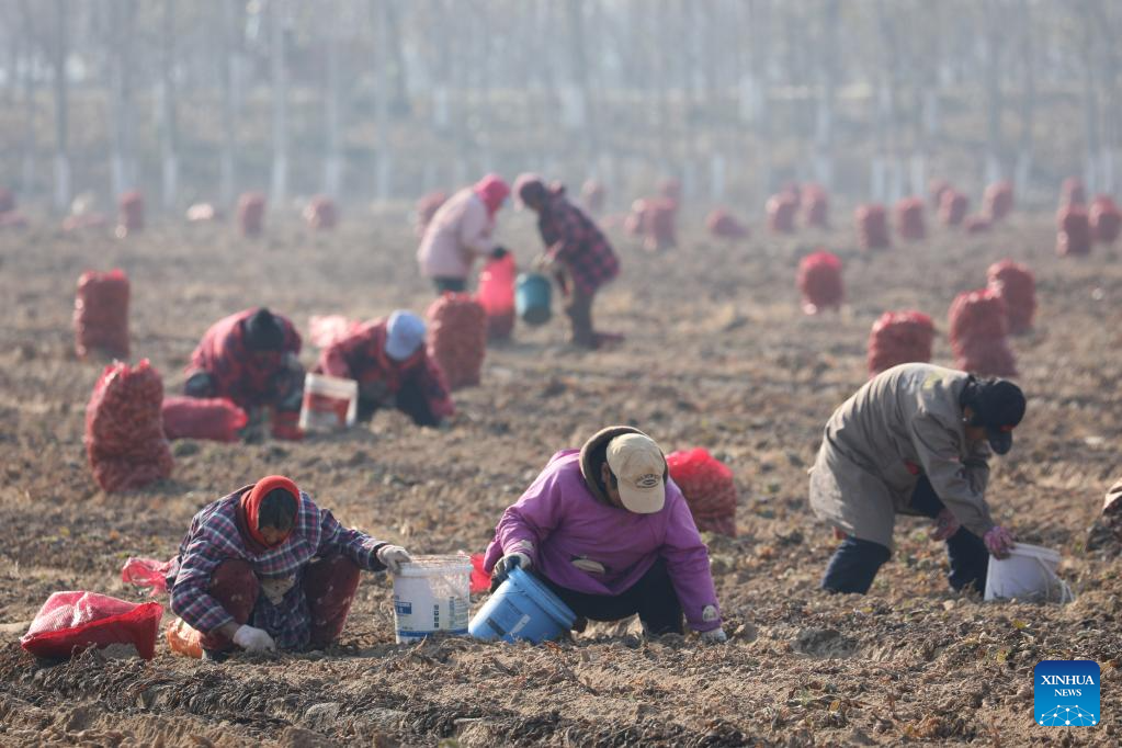 Foto por Xu Hongxing/Xinhua
