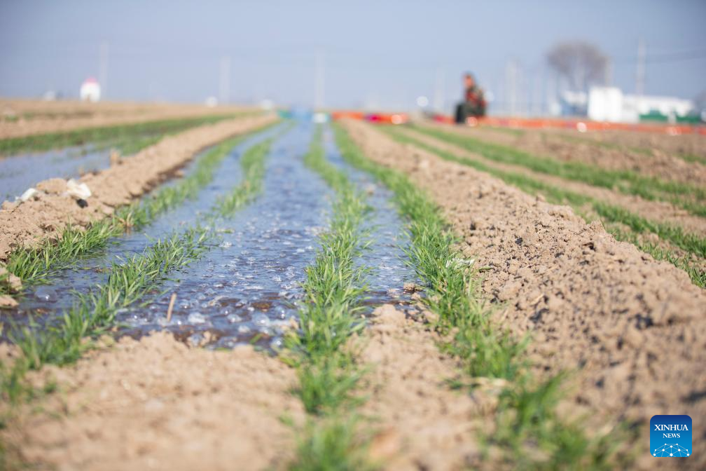 Foto por Liu Yunjie/Xinhua