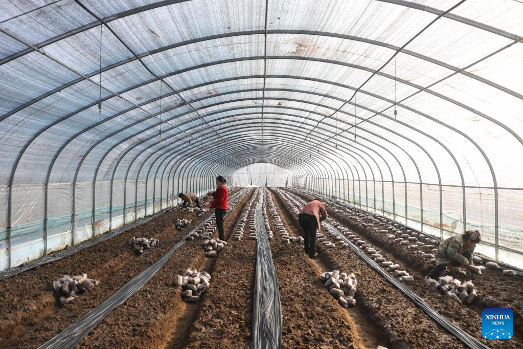 Foto por He Wuchang/Xinhua