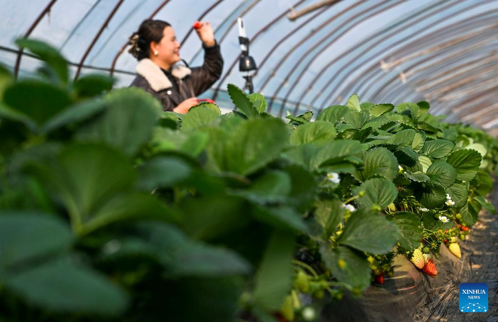 Foto por Li Heng/Xinhua