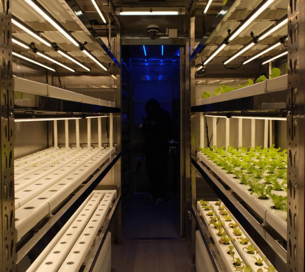 Foto sem data fornecida pela China State Shipbuilding Corporation Limited mostra uma inovadora instalação inteligente de cultivo a bordo de navio em Shanghai, leste da China. (Xinhua)