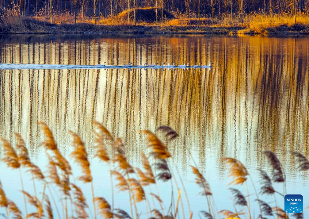 Confira as deslumbrantes paisagens de inverno na China