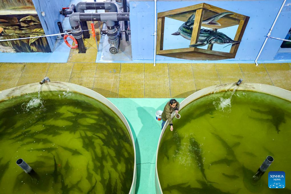 Distrito chinês de Helan explora potencial da aquicultura em solos salino-alcalinos