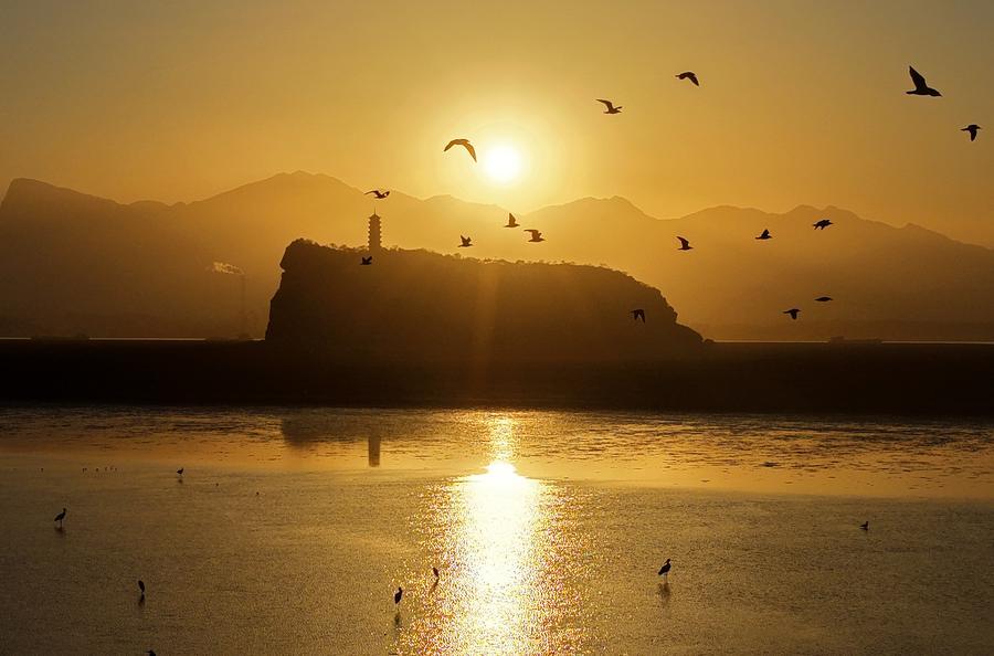 (Multimídia) Maior lago de água doce da China diminui 90%