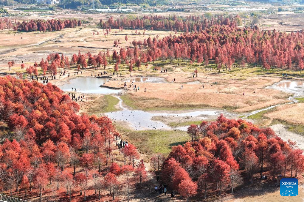 Foto por Lin Lijun/Xinhua