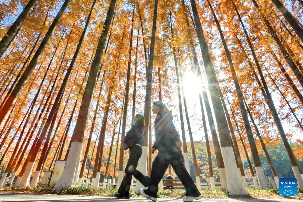 Foto por Jin Peng/Xinhua