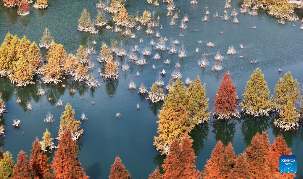 Foto por Liang Zhiqiang/Xinhua