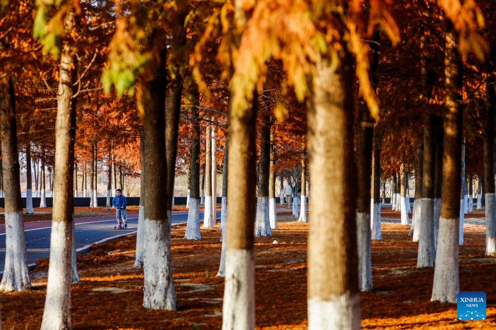 Foto por Gu Binbin/Xinhua