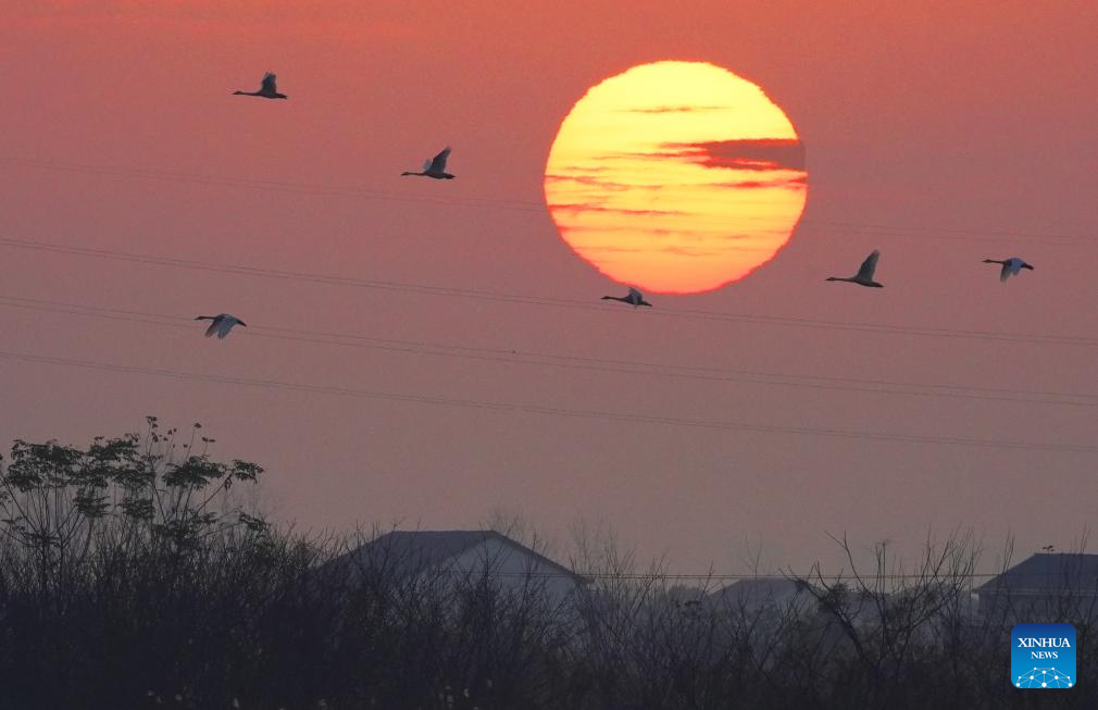 Foto por Cao Zhengping/Xinhua