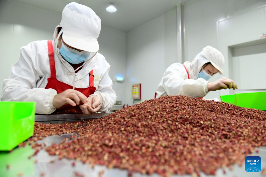 Foto por Wang Hainan/Xinhua