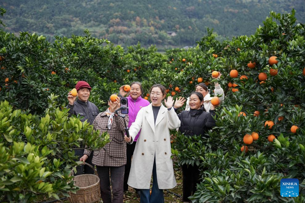 Distrito chinês de Cangxi cria modelo inovador para desenvolvimento rural