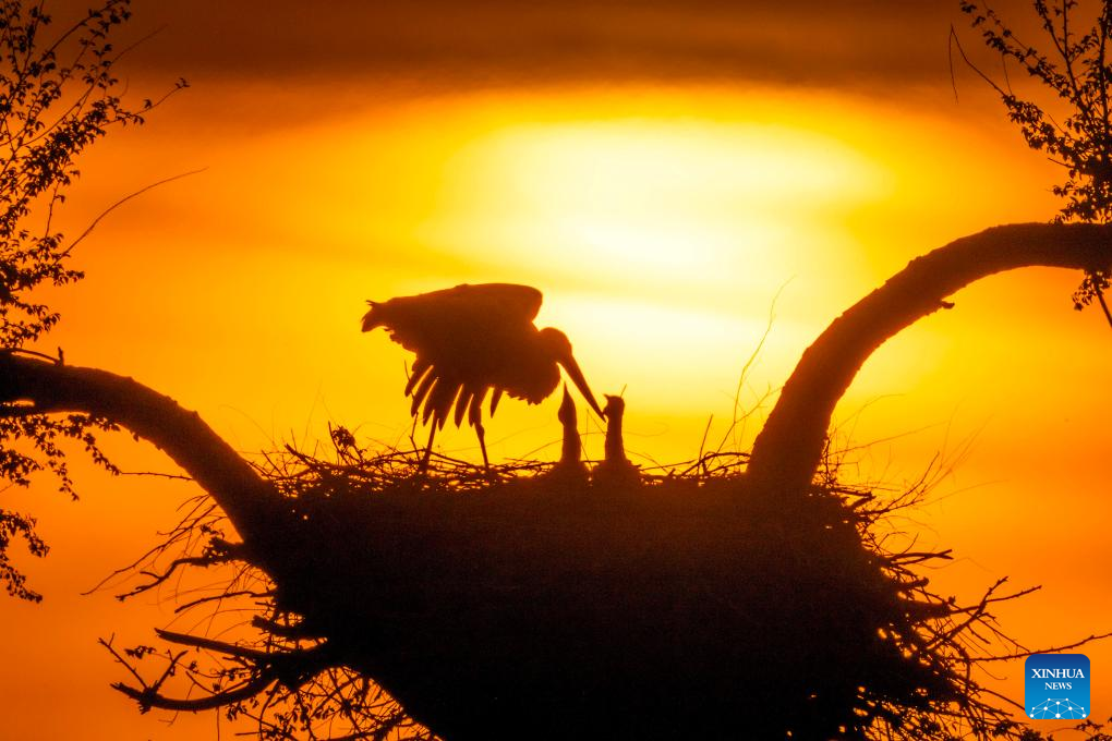 Foto de Wang Yonggang/Xinhua