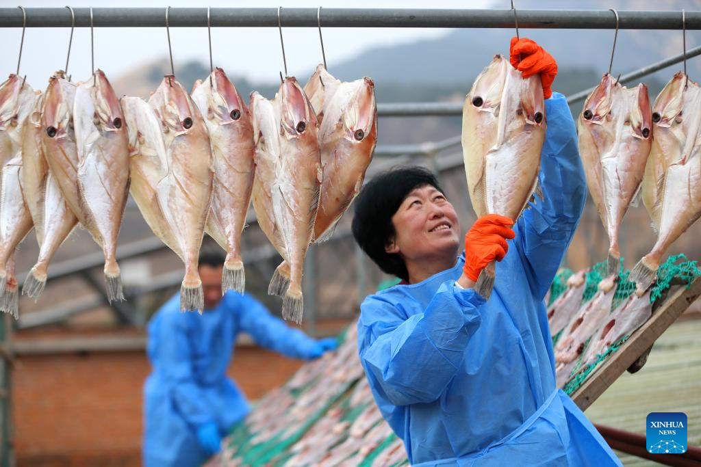 Pescadores secam peixes no Distrito de Jimo, em Qingdao, leste da China
