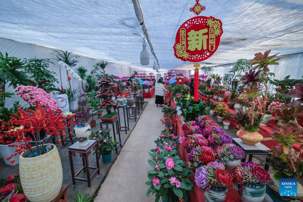 Flores de Ano Novo entram na temporada de pico de vendas na Cidade de Jinhua, Província de Zhejiang