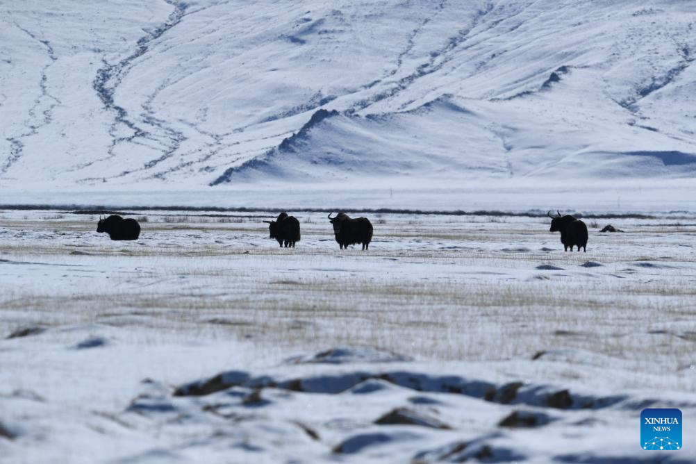 Foto de Gao Hongshan/Xinhua